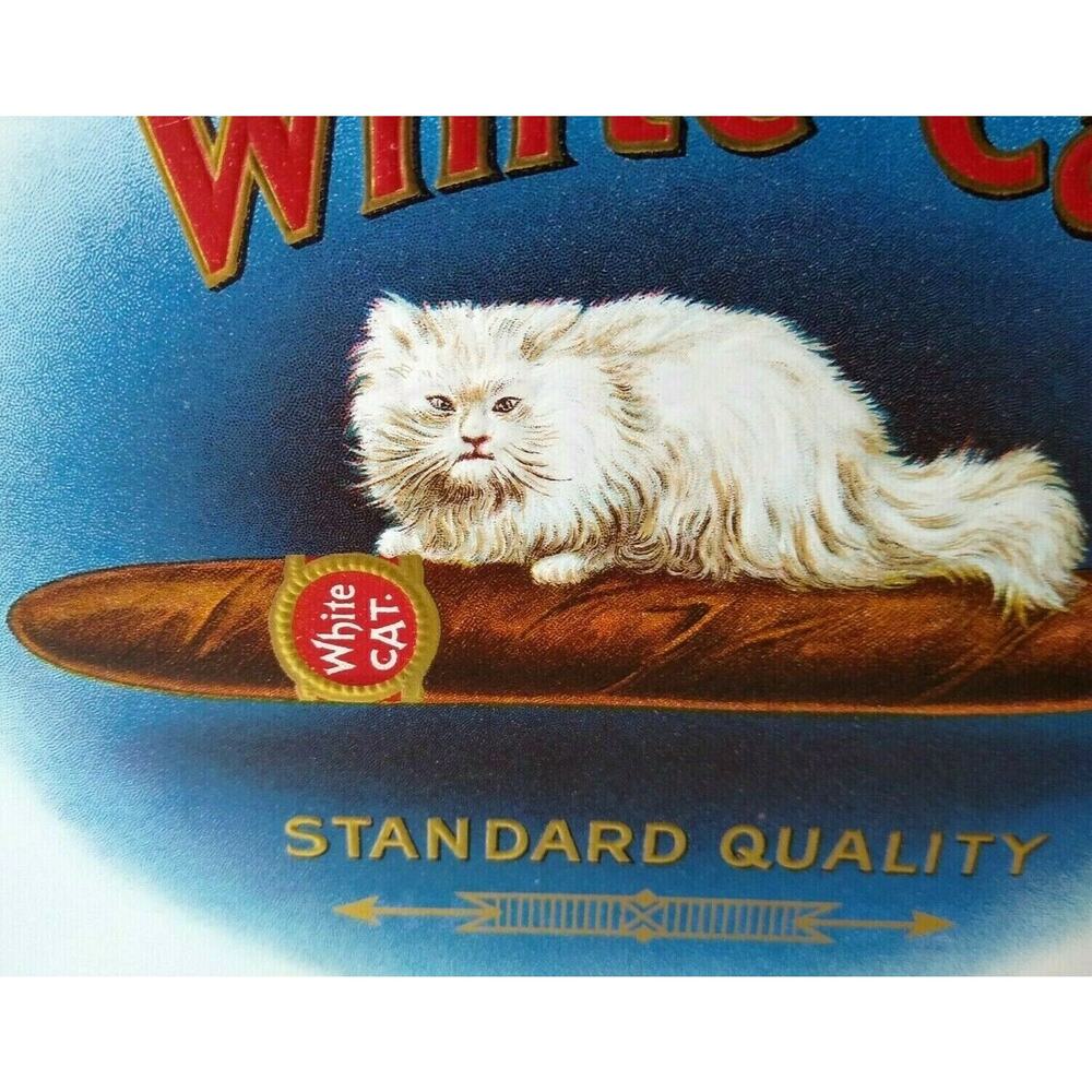 Fluffy White Cat Vintage Box Label Original Embossed Kitten Sits On Cigar 1920s